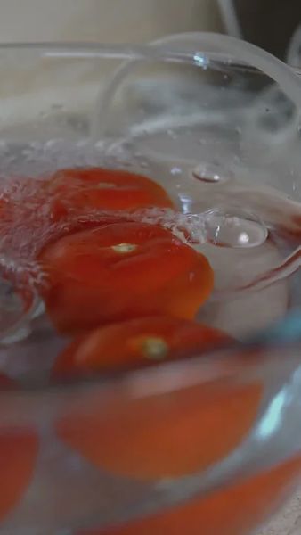Потужний озонатор для повітря, води, продуктів Doctor-101 Catalina PLUS 2-в-1 із LED дисплеєм та таймером. Енциклопедія озонування у подарунок WT1200-1 фото
